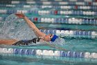 Swim vs Bentley  Wheaton College Swimming & Diving vs Bentley University. - Photo by Keith Nordstrom : Wheaton, Swimming & Diving